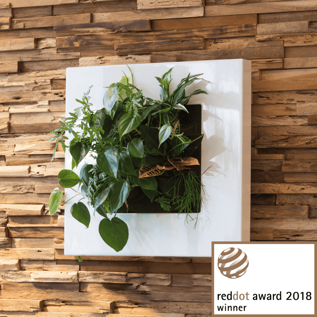Red Dot Award 2018 Mobilane-1